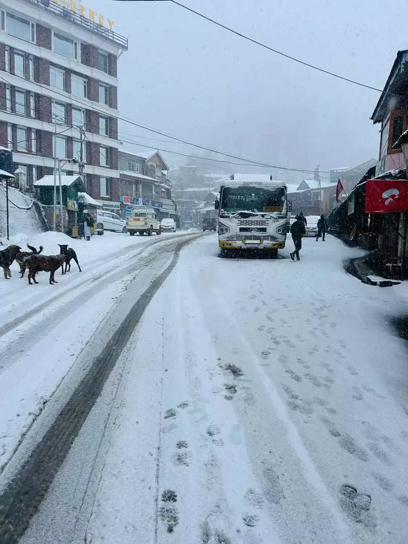 शिमला, कुफरी, नारकंडा में बर्फबारी, HP के निचले इलाकों में बारिश शिमला, कुफरी, नारकंडा में बर्फबारी, HP के निचले इलाकों में बारिश