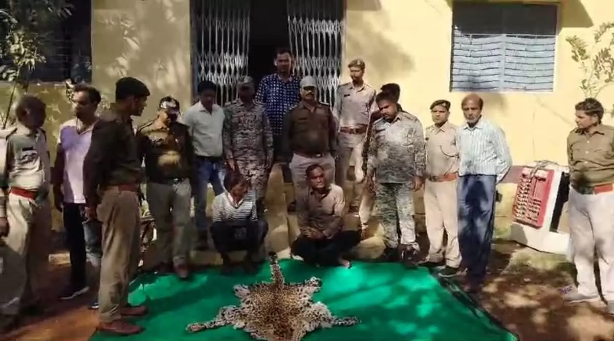 BREAKING: तेंदुए की खाल बेचने निकले तस्कर गिरफ्तार BREAKING: तेंदुए की खाल बेचने निकले तस्कर गिरफ्तार