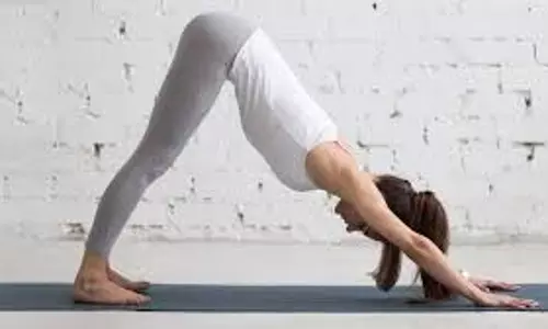 Yoga Tips: कम पानी पीने से हो सकती हैं कई स्वास्थ्य समस्याएं, उपचार में मदद करेंगे ये योगासन