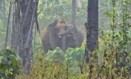 एझाट्टुमुखम गणपति ने अपने दोस्त का समर्थन किया, ड्रग डीलर ने गोली मार दी