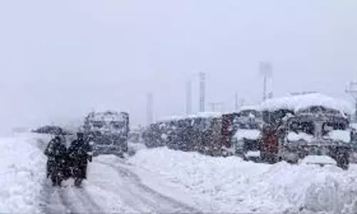 Himachal Weather:  ऊंचाई वाले इलाके बर्फबारी से ढके