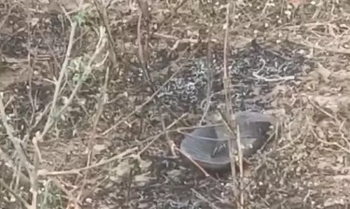 पति की मानसिक स्थिति ठीक नहीं, पत्नी को जिंदा जलाया