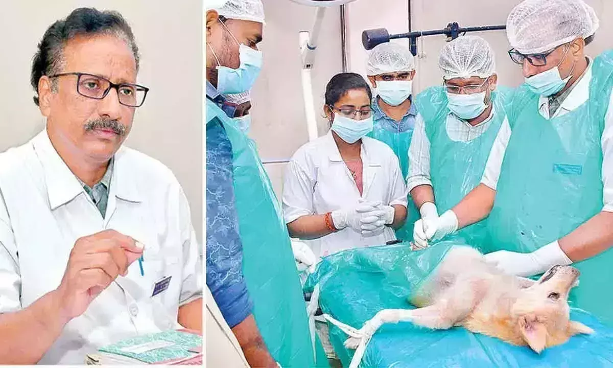 Andhra Pradesh : पशु जगत के लिए आशा की किरण