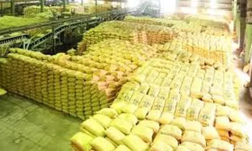 Chittorgarh News: यूरिया खाद की कालाबाजारी का भंडाफोड़, दो हजार बोरियां जब्त Chittorgarh News: यूरिया खाद की कालाबाजारी का भंडाफोड़, दो हजार बोरियां जब्त