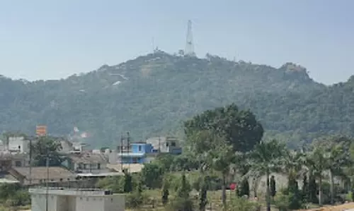 मां बम्लेश्वरी मंदिर से सटे पहाड़ी जंगल में लगी आग मां बम्लेश्वरी मंदिर से सटे पहाड़ी जंगल में लगी आग