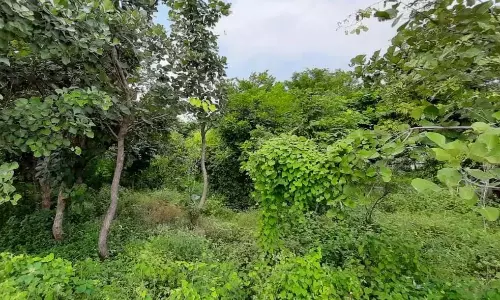 वन प्रशिक्षुओं ने RCD अस्पताल जैव विविधता पार्क का दौरा किया