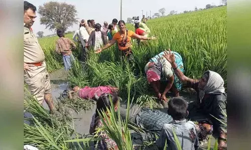 Nizamabad में ‘जंगली सूअर शिकारियों’ की बिजली से मौत Nizamabad में ‘जंगली सूअर शिकारियों’ की बिजली से मौत