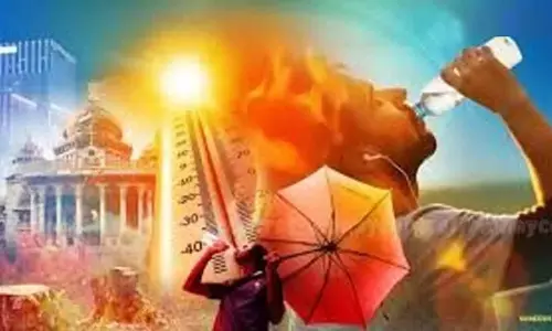 Karnataka: फरवरी में तापमान 20 वर्षों में सबसे अधिक Karnataka: फरवरी में तापमान 20 वर्षों में सबसे अधिक