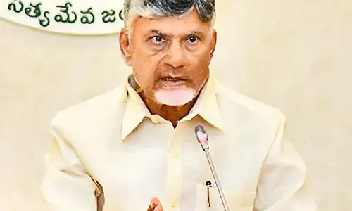 CM Chandrababu : मिर्च किसानों की मदद करें