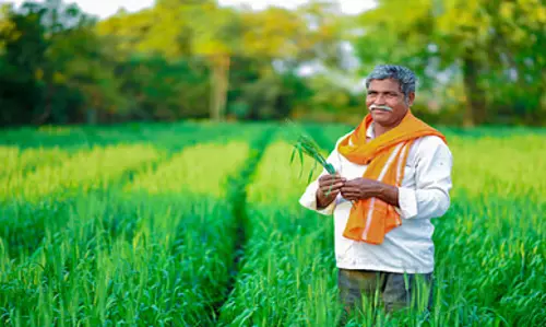 Andhra: पीएम किसान निधि 24 को जारी की जाएगी