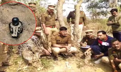 खुदाई के दौरान शिवलिंग मिला, दिखा था सांपों का झुंड भी, सब हिल गए!
