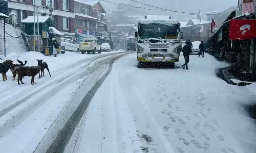 शिमला, कुफरी, नारकंडा में बर्फबारी, HP के निचले इलाकों में बारिश शिमला, कुफरी, नारकंडा में बर्फबारी, HP के निचले इलाकों में बारिश