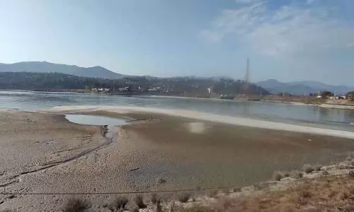 इस वर्ष मंडी में BSL नहर में भारी मात्रा में गाद जमा हुई इस वर्ष मंडी में BSL नहर में भारी मात्रा में गाद जमा हुई