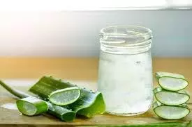 Homemade Aloe Vera Gel: गोरा होने के लिए घर पर कैसे तैयार करें एलोवेरा जेल Homemade Aloe Vera Gel: गोरा होने के लिए घर पर कैसे तैयार करें एलोवेरा जेल