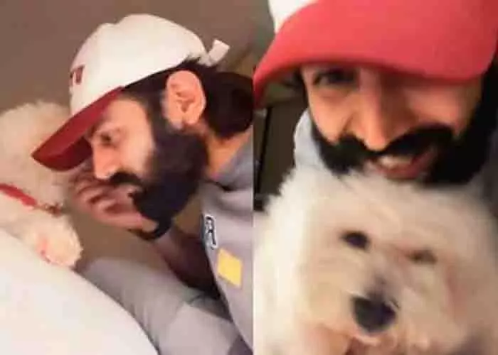 Kartik Aaryan अपने पालतू कटोरी के साथ खेलते हुए वीडियो शेयर किया Kartik Aaryan अपने पालतू कटोरी के साथ खेलते हुए वीडियो शेयर किया