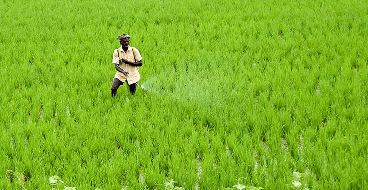 Tamil Nadu: कोयंबटूर में किसानों ने नामांकन में आने वाली कठिनाइयों पर चिंता जताई Tamil Nadu: कोयंबटूर में किसानों ने नामांकन में आने वाली कठिनाइयों पर चिंता जताई
