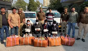 नोएडा पुलिस ने चार तस्करों को गिरफ्तार किया, 20 लाख का गांजा भी जब्त नोएडा पुलिस ने चार तस्करों को गिरफ्तार किया, 20 लाख का गांजा भी जब्त