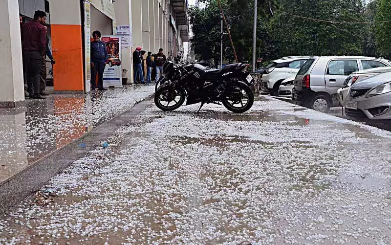 Punjab: बारिश और पारे में गिरावट से गेहूं उत्पादक उत्साहित Punjab: बारिश और पारे में गिरावट से गेहूं उत्पादक उत्साहित