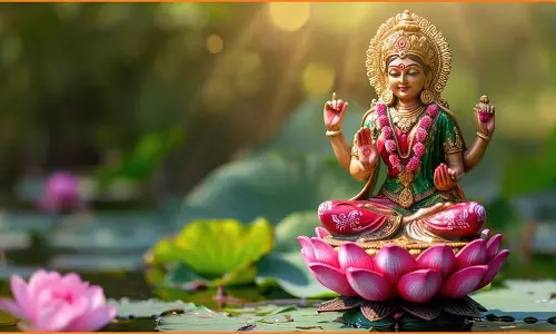 Shukrawar Ke Upay: शुक्रवार की रात करें ये अचूक उपाय, कभी नहीं होगी पैसों की कमी Shukrawar Ke Upay: शुक्रवार की रात करें ये अचूक उपाय, कभी नहीं होगी पैसों की कमी