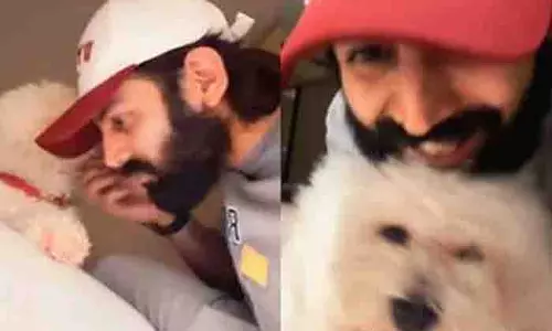 Kartik Aaryan अपने पालतू कटोरी के साथ खेलते हुए वीडियो शेयर किया