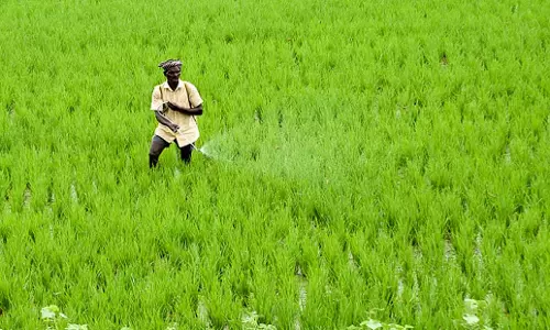 Tamil Nadu: कोयंबटूर में किसानों ने नामांकन में आने वाली कठिनाइयों पर चिंता जताई