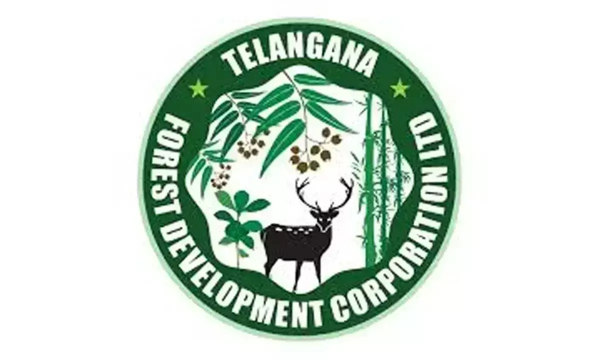 TGFDC ने प्रकृति भ्रमण के लिए कार्यक्रम की सूची बनाई