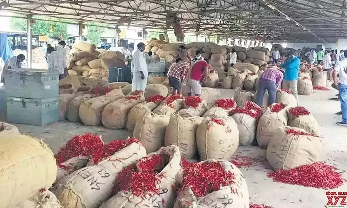 Andhra Pradesh : केंद्रीय कृषि मंत्रालय ने मिर्च किसानों को समर्थन देने के लिए बैठक आयोजित की