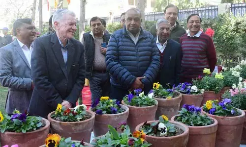 Haryana: फूलों ने पानीपत कॉलेज को जीवंत रंगों से रंग दिया Haryana: फूलों ने पानीपत कॉलेज को जीवंत रंगों से रंग दिया