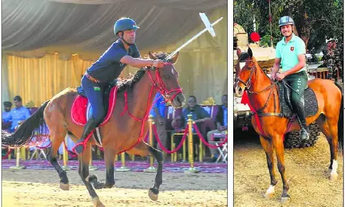 Jalandhar: घुड़सवारी प्रतियोगिता में सबसे तेज सवार, सबसे उग्र घोड़े चमके