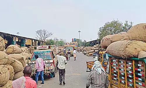 Andhra : गुंटूर मिर्च यार्ड में बिक्री तेजी से बढ़ रही