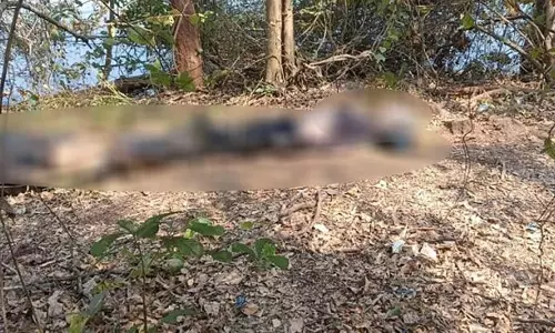 Shivamogga: तुंगा बैकवाटर में दो पुरुषों और एक महिला के शव मिले