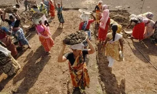 Jodhpur - मनरेगा के अंतर्गत 61 कार्यो के लिये 260.24 लाख की धनराशि स्वीकृत