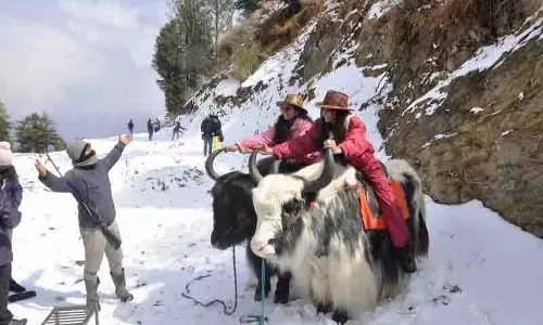 राज्य भर में व्यापक बारिश, Shimla जिले के सेब बेल्ट में हल्की बर्फबारी राज्य भर में व्यापक बारिश, Shimla जिले के सेब बेल्ट में हल्की बर्फबारी