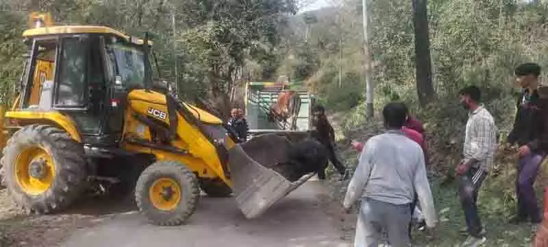 Kangra घाटी के बैल और बैल आज दयनीय जीवन जी रहे Kangra घाटी के बैल और बैल आज दयनीय जीवन जी रहे