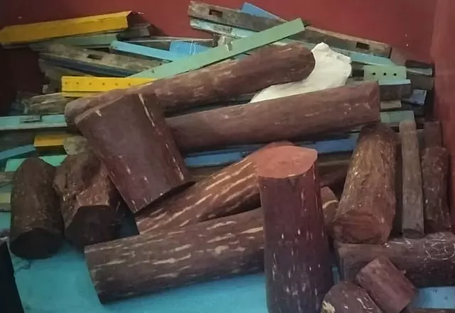 Tamil Nadu : व्यासरपडी में लगभग एक टन रेडवुड लट्ठे जब्त किये गये Tamil Nadu : व्यासरपडी में लगभग एक टन रेडवुड लट्ठे जब्त किये गये