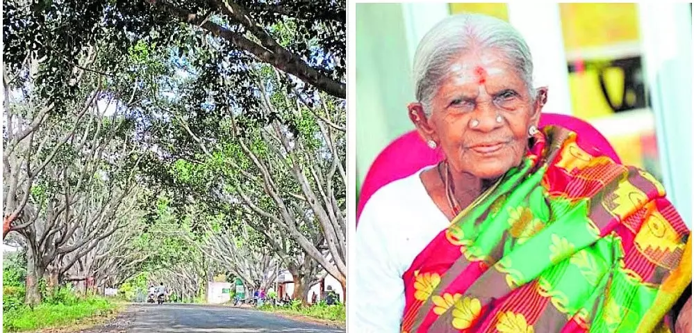 पर्यावरण संरक्षकों की उपलब्धियों से परिचित कराएगा QR कोड: वन विभाग का विशेष प्रयास पर्यावरण संरक्षकों की उपलब्धियों से परिचित कराएगा QR कोड: वन विभाग का विशेष प्रयास