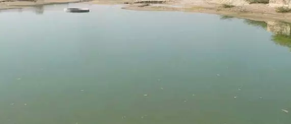 बिलख कर रोई फिर तालाब में कूद गई महिला बिलख कर रोई फिर तालाब में कूद गई महिला
