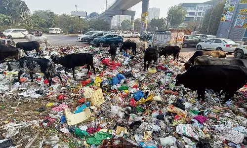 Haryana : मेयर चुनाव से पहले रावस ने भ्रष्टाचार और खराब सफाई व्यवस्था पर उठाया सवाल