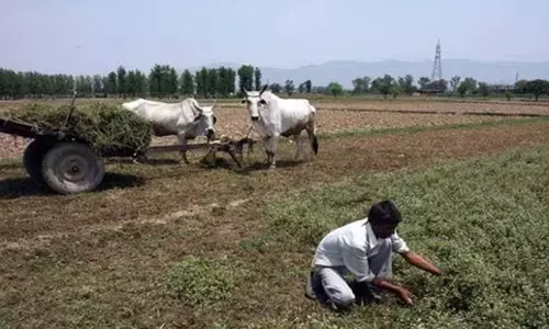 Tamil Nadu: कोयंबटूर में मोबाइल मृदा परीक्षण इकाई स्थापित की जाएगी