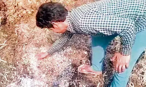 Haryana : जींद में ओलावृष्टि और भारी बारिश से फसल बर्बाद होने से किसान चिंतित
