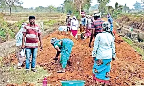 Odisha: रोजगार गारंटी योजना के तहत निर्धारित कार्य दिवसों के लक्ष्य में कमी Odisha: रोजगार गारंटी योजना के तहत निर्धारित कार्य दिवसों के लक्ष्य में कमी