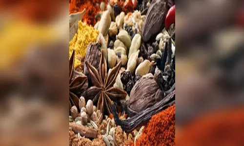 इन मसालों में लजीज भोजन का छिपा है राज, स्वास्थ्य के लिए भी असरदार इन मसालों में लजीज भोजन का छिपा है राज, स्वास्थ्य के लिए भी असरदार