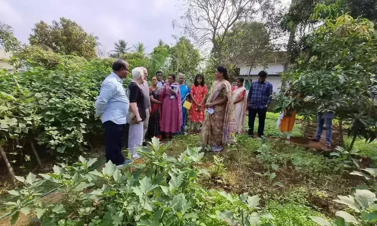 Andhra Pradesh :  प्राकृतिक खेती को जलवायु परिवर्तन का समाधान माना जा रहा
