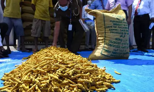 Tamil Nadu : 2.8 टन हल्दी मसाला, श्रीलंका में भेजा जाएगा