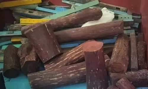 Tamil Nadu : व्यासरपडी में लगभग एक टन रेडवुड लट्ठे जब्त किये गये Tamil Nadu : व्यासरपडी में लगभग एक टन रेडवुड लट्ठे जब्त किये गये