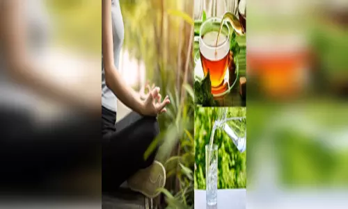 बदलते मौसम में करें सिर्फ तीन काम, छोटे से उपाय रखेंगे सेहत का पूरा ध्यान