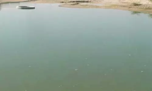 बिलख कर रोई फिर तालाब में कूद गई महिला