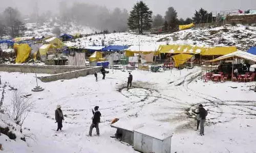 Shimla के सेब क्षेत्र में बर्फ गिरी, सेब उत्पादकों ने सरकार से हस्तक्षेप करने का आग्रह किया