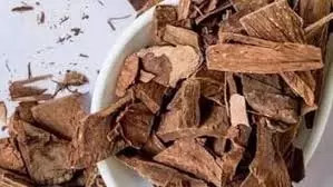 Ayurveda: क्या अर्जुन की छाल हार्ट ब्लॉकेज को खत्म करती है, जानिए इसके फायदे और नुकसान Ayurveda: क्या अर्जुन की छाल हार्ट ब्लॉकेज को खत्म करती है, जानिए इसके फायदे और नुकसान