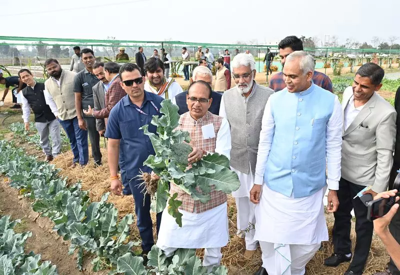 Haryana : प्राकृतिक खेती को बढ़ावा देने के लिए केंद्र सरकार राष्ट्रीय स्तर पर पैनल गठित करेगी Haryana : प्राकृतिक खेती को बढ़ावा देने के लिए केंद्र सरकार राष्ट्रीय स्तर पर पैनल गठित करेगी